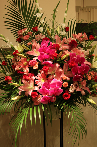 �X�^���h�ԁ@��c��